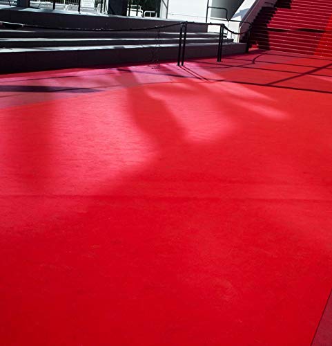 Carpets Carpets for Living room Hall Carpet Marriage Carpet Shadi Carpet Floor Carpet