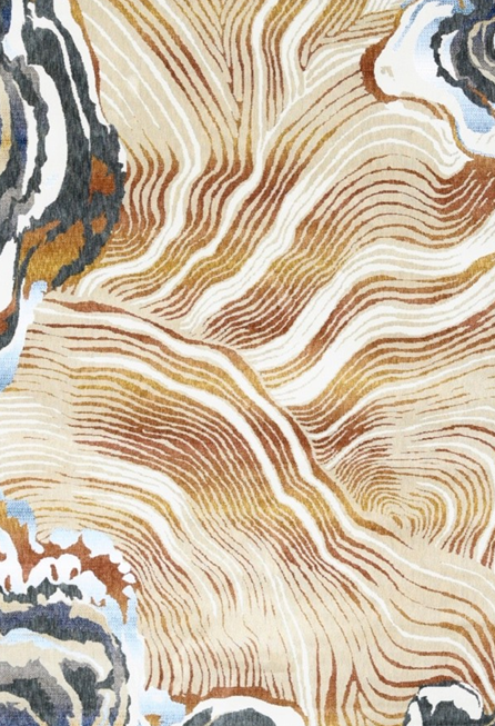 Carpets Carpets for Living room Carpets for bedroom Rugs Carpets for dinning room Carpets for home Floor Carpet