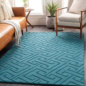 hand tufted carpet with elegant border design and soft plush texture."
