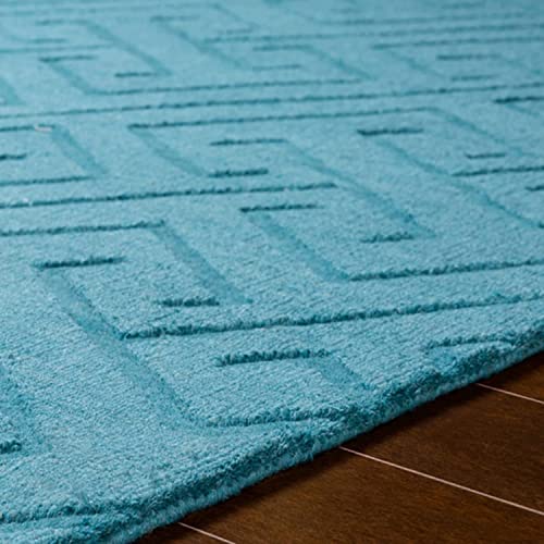 hand tufted carpet with elegant border design and soft plush texture."