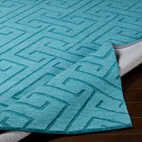 hand tufted carpet with elegant border design and soft plush texture."