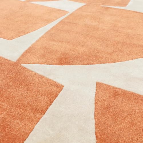 hand tufted carpet with elegant border design and soft plush texture."