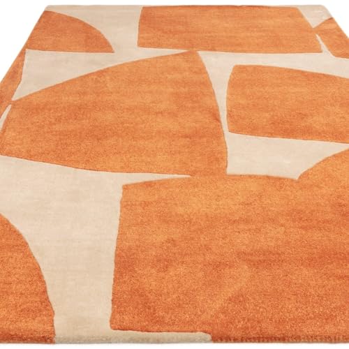 hand tufted carpet with elegant border design and soft plush texture."