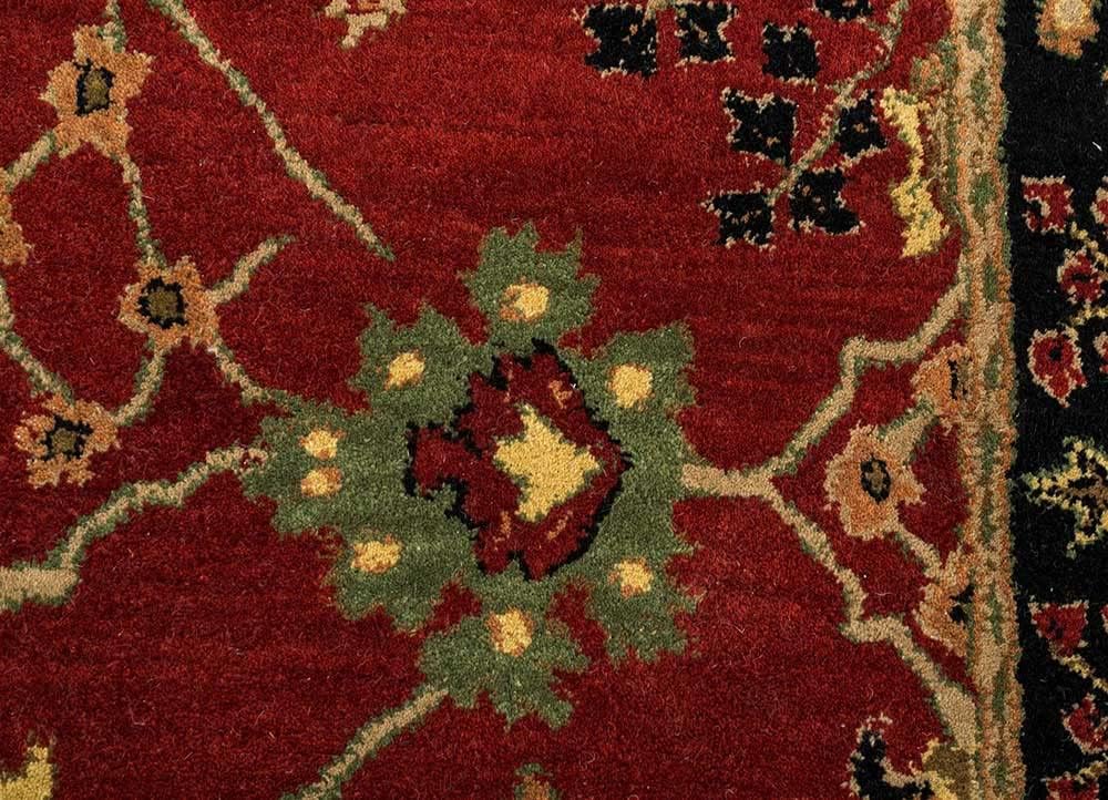 Tufted 42.3 hand tufted carpet with elegant border design and soft plush texture."