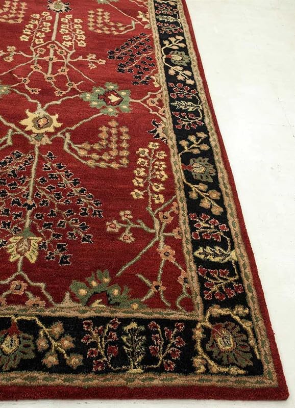 Tufted 42.6 hand tufted carpet with elegant border design and soft plush texture."