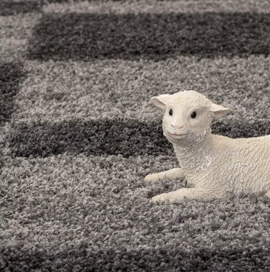 Shaggy 20.4 Shaggy Carpet Modern Living Room Bedroom Abstract Shaggy Carpet