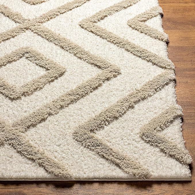 Shaggy 28.2 Shaggy Carpet Modern Living Room Bedroom Abstract Shaggy Carpet
