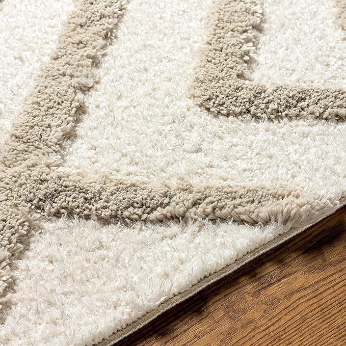 Shaggy 28.3 Shaggy Carpet Modern Living Room Bedroom Abstract Shaggy Carpet